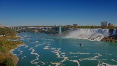 Creating an Employee Bridge Across Countries Lines