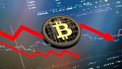 What Factors Expand and Contract the Crypto Market