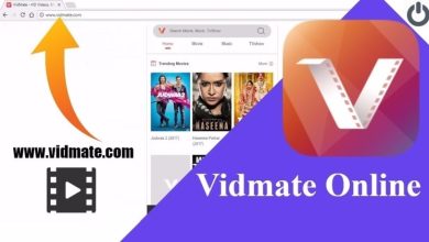 Amazing Vidmate Music and Video Downloader App