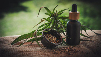 How Do THC Gummies Help in Relieving Chronic Pain3 1