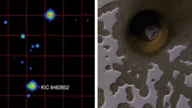 Scientific Mysterious Still Waiting to Be Solved