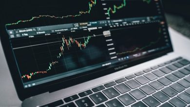 Best Dividend Paying Stocks Australia Has To Offer