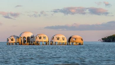 12 Unusual Things To Do On Marco Island In Southwest Floridas Playground