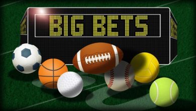 5 Tips To Choosing the Best Online Sportsbook for Beginners
