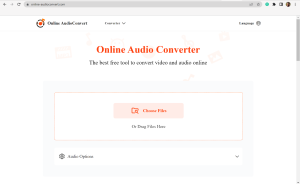 How to Convert Facebook Videos to MP3 Using FBVideoDown For Free8