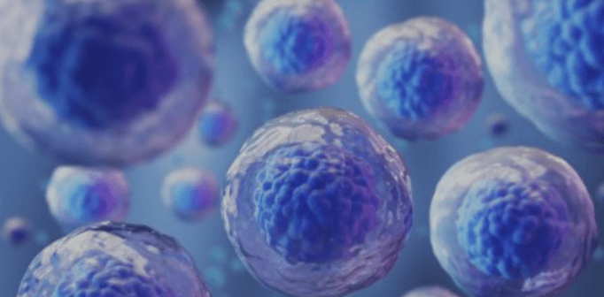 Stem Cell reviews: What Patients Said